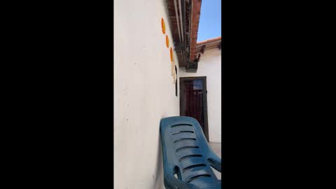 leo_latino1 online show from 9, 3, 2026