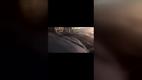 Leon online show from 1, 3, 2026