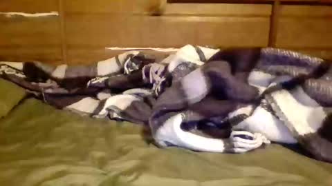 Snapshot of leskator9 chatting on 7, 11, 2025 leskator9 online show from 7, 11, 2025