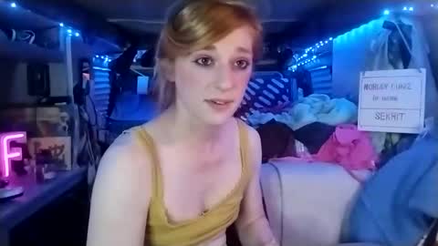 Snapshot of lesleygumgrass chatting on 3, 3, 2025 LesleyGumGrass- The Boring Trans girl online show from 3, 3, 2025