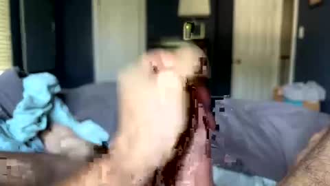 Snapshot of letmecumforyou71 chatting on 20, 9, 2025 letmecumforyou71 online show from 20, 9, 2025