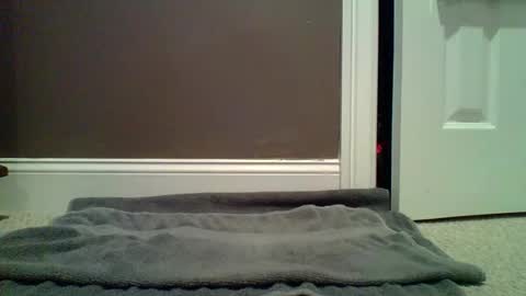 Lets Orgasm  online show from 27, 1, 2025