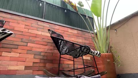 Snapshot of lettali chatting on 21, 3, 2026 follow me here you find me online show from 21, 3, 2026