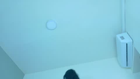 Snapshot of lexadominant__ chatting on 7, 7, 2026 L E X A online show from 7, 7, 2026