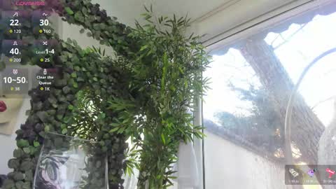 lexi_storm online show from 12, 2, 2026