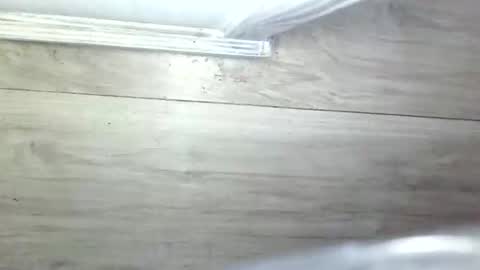 Snapshot of lezbeehonest100 chatting on 14, 5, 2026 Olive Pena online show from 14, 5, 2026