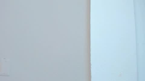 Liss 3 online show from 4, 11, 2025