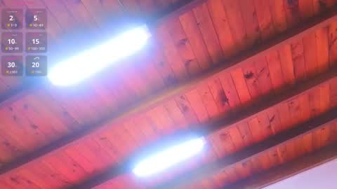 Snapshot of liacox chatting on 1, 3, 2026 Lia Cox online show from 1, 3, 2026