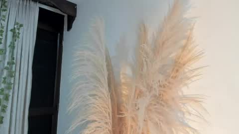 Snapshot of liaflowers chatting on 16, 4, 2026 Lia online show from 16, 4, 2026