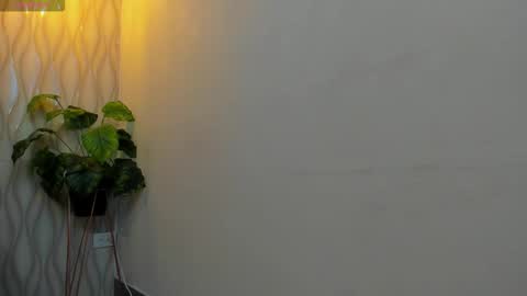 Snapshot of liam_kleiin chatting on 12, 2, 2026 LIAM KLEIN online show from 12, 2, 2026