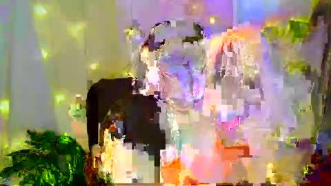 Liberta online show from 30, 11, 2025