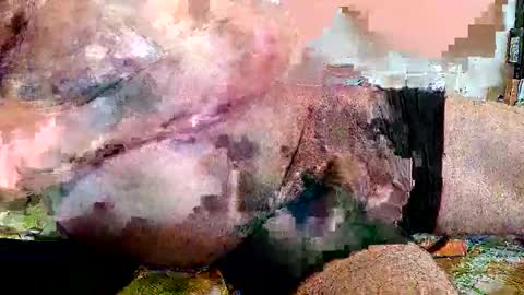 lickingover online show from 8, 4, 2026