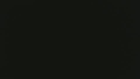 lickmysnowballs online show from 16, 4, 2026