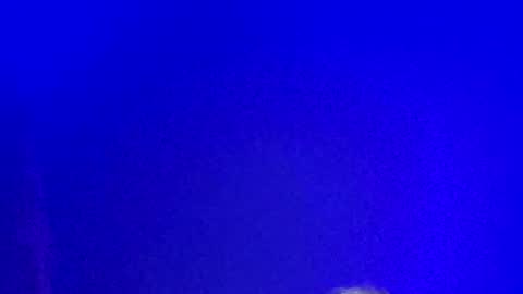 Snapshot of lickyouryoni chatting on 13, 1, 2025 LickYourYoni online show from 13, 1, 2025