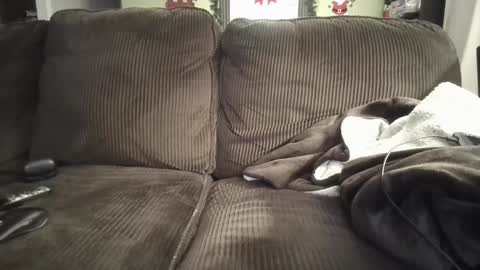 lifer77 online show from 26, 12, 2024