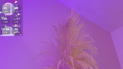 Liiam Luna online show from 17, 3, 2026