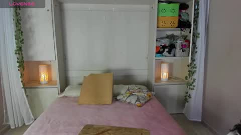         online show from 1, 12, 2025