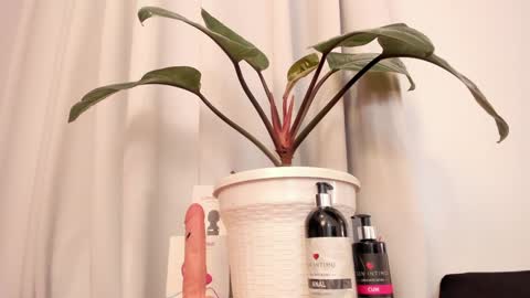 Lila online show from 15, 1, 2025