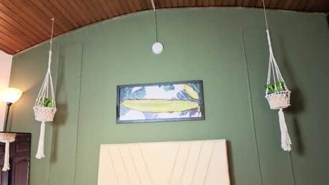 Lila online show from 20, 12, 2025