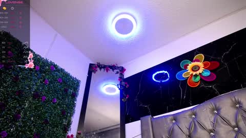   online show from 24, 12, 2024