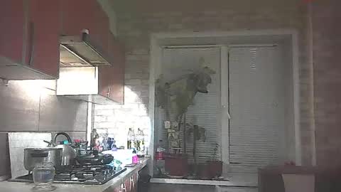 LilaniLoverx online show from 31, 1, 2026