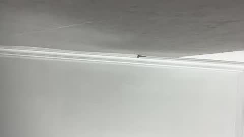 Lilith  online show from 11, 11, 2025