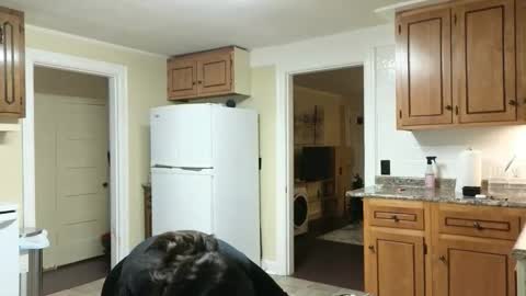 lilly_adams88 online show from 24, 11, 2025