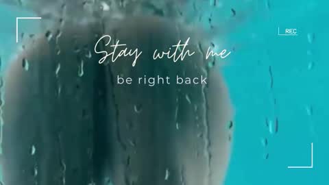 Snapshot of lily_foster_ chatting on 19, 12, 2025 Lily online show from 19, 12, 2025