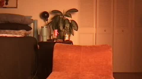 Snapshot of lily_henry chatting on 19, 6, 2026 Little Lily online show from 19, 6, 2026