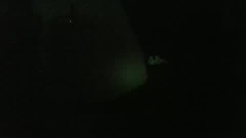 lily lovelyman online show from 26, 12, 2024