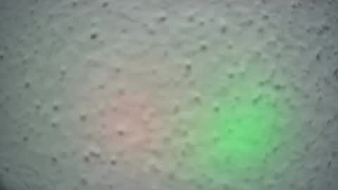 lily lovelyman online show from 13, 2, 2025