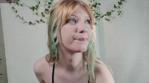 Lina online show from 7, 6, 2026
