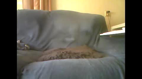 Snapshot of lion160868 chatting on 26, 10, 2025 lion160868 online show from 26, 10, 2025