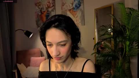 Lis online show from 29, 11, 2025