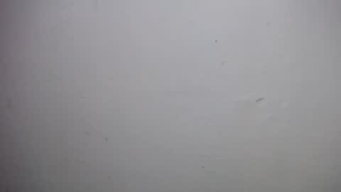 lisa_branch online show from 18, 12, 2025