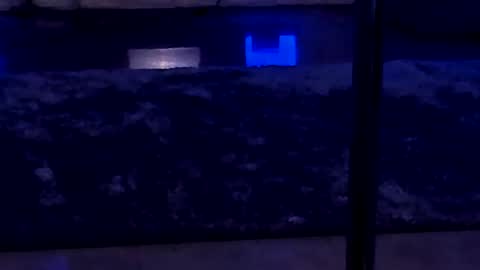 lisa_elfy online show from 24, 1, 2025