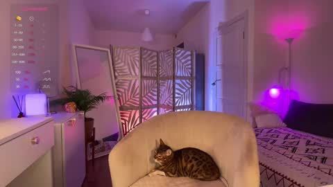 Snapshot of lisamaybe chatting on 20, 11, 2025 Lisa online show from 20, 11, 2025