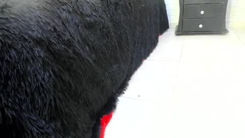 Misstress Martina  online show from 14, 2, 2025