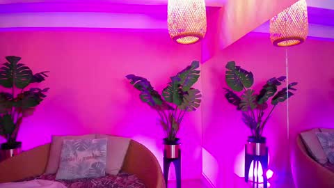 Paulette online show from 15, 11, 2025