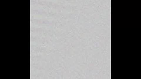 Adaline online show from 18, 2, 2025