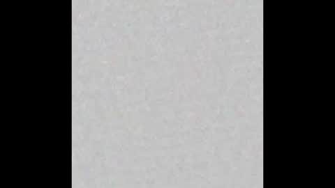 Adaline online show from 2, 2, 2026