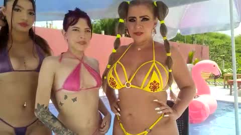 Sharol  online show from 4, 10, 2025