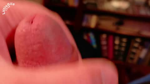 Littlebits online show from 28, 4, 2026