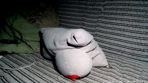 Malej Kmo online show from 17, 2, 2026