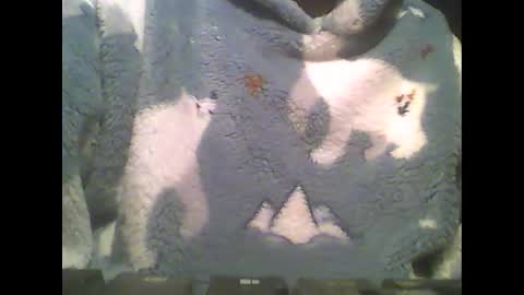Snapshot of littlepaul2 chatting on 14, 2, 2025 LittlePaul online show from 14, 2, 2025