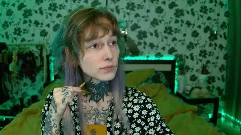 Niki  free tg channel with some photos gifs and info about streams  online show from 15, 9, 2025