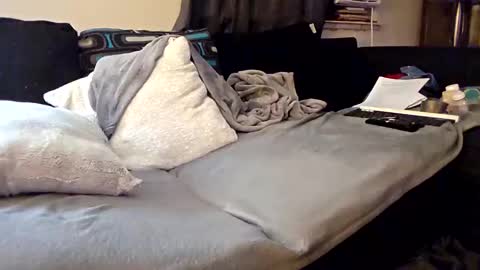 LongDick Daddy online show from 9, 9, 2025