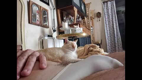 Lo82 online show from 3, 10, 2025