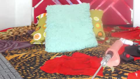 loaisisAdamss online show from 28, 2, 2026