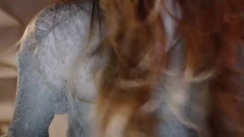 Snapshot of lola_dinky chatting on 14, 5, 2026 Lola online show from 14, 5, 2026